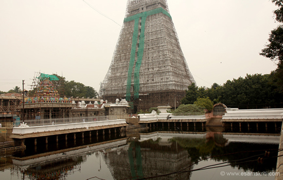 The Vanishing Temple Ponds of Kerala 