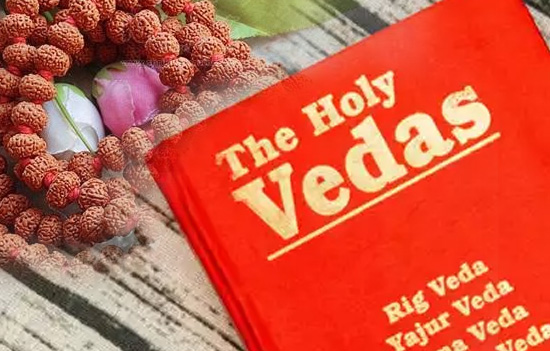 A Introduction to the VEDAS