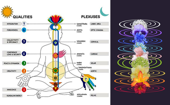 KUNDALINI and Chakras