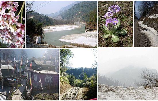 A short and memorable trip to picturesque SIKKIM 