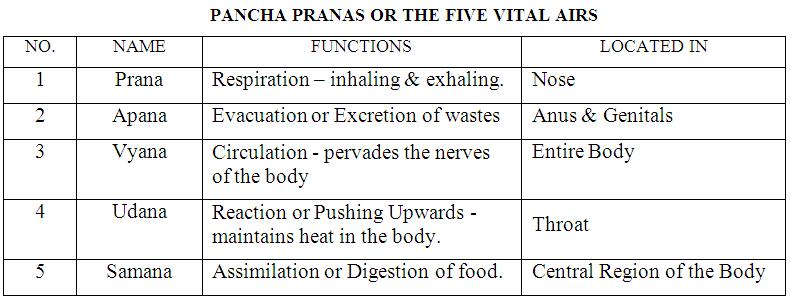 Four parts of the brain, and their functions - Essays - 466 Words