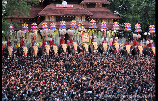 The Legendary Elephants of Kerala