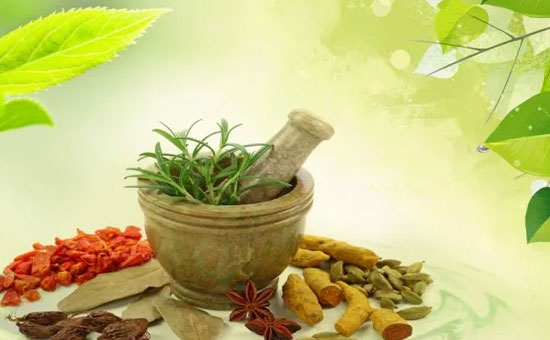 Preserving Ayurveda in India   