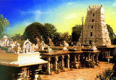 Andhra Pradesh 