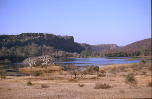 Ranthambore Sanctuary